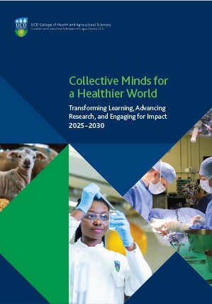 College Strategy Published 2025 - 2030